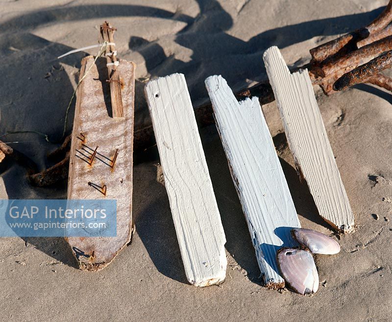 Collection of driftwood on a beach