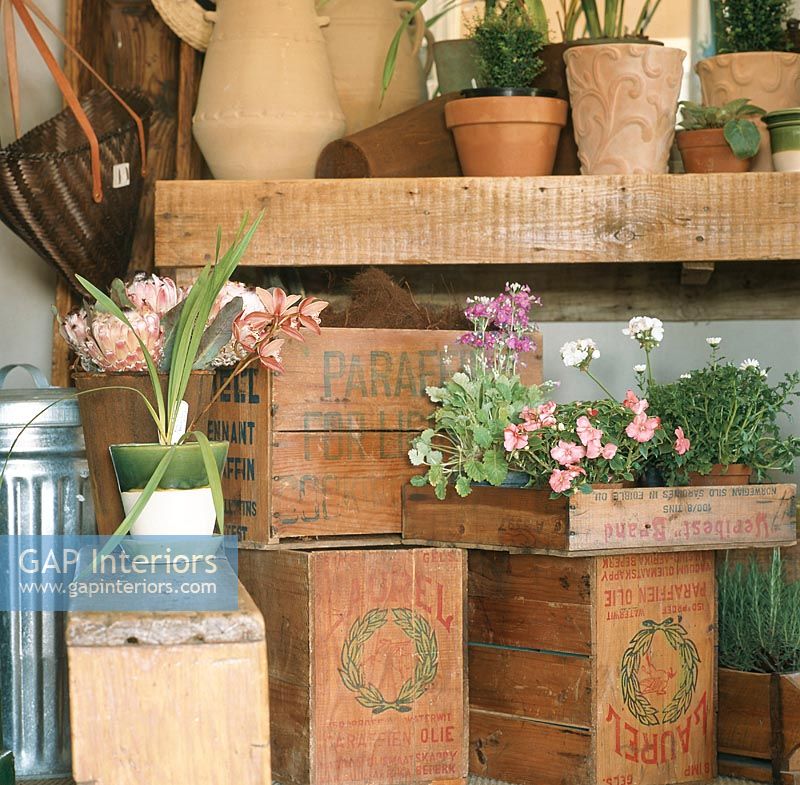 View of pot plants and flower vase on wooden boxes