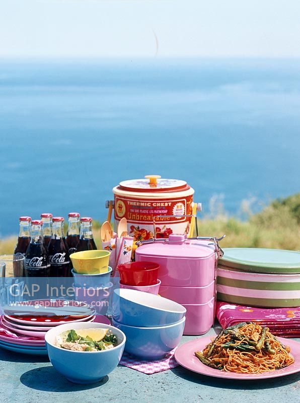 Dinnerware on picnic by lake