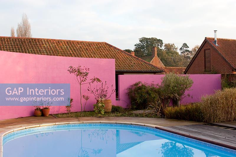 Contemporary garden with curved wall painted bright pink