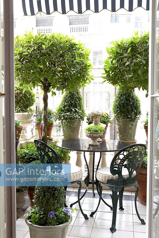 Classic balcony with topiary bushes
