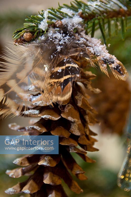 Detail of pine cone Christmas decoration