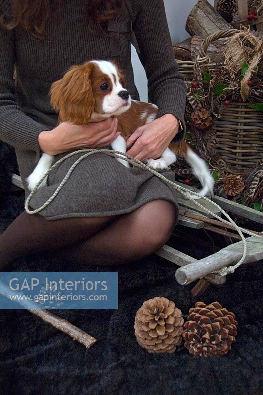 Woman and puppy with Christmas decorations