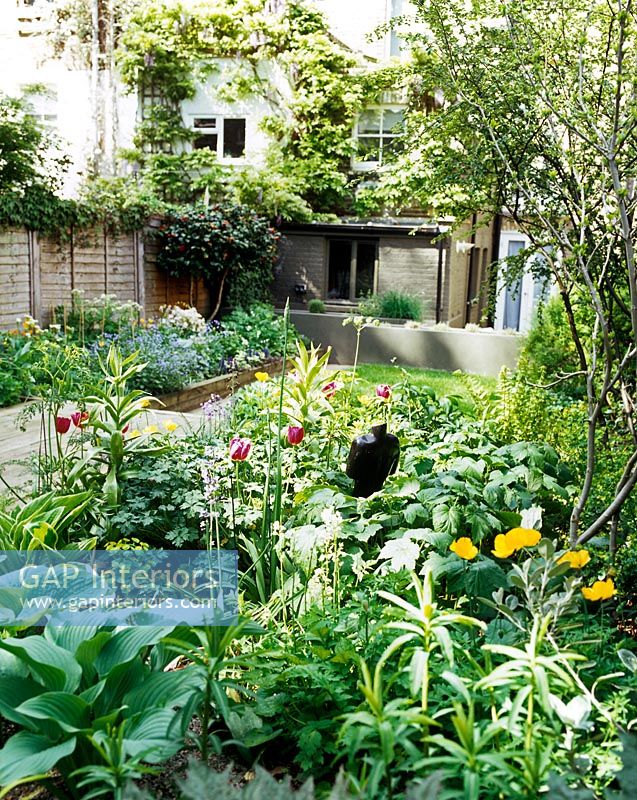 Modern back garden  