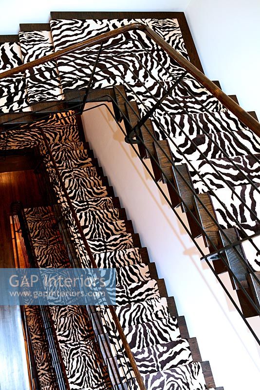 Veiw of stairs with animal print carpet