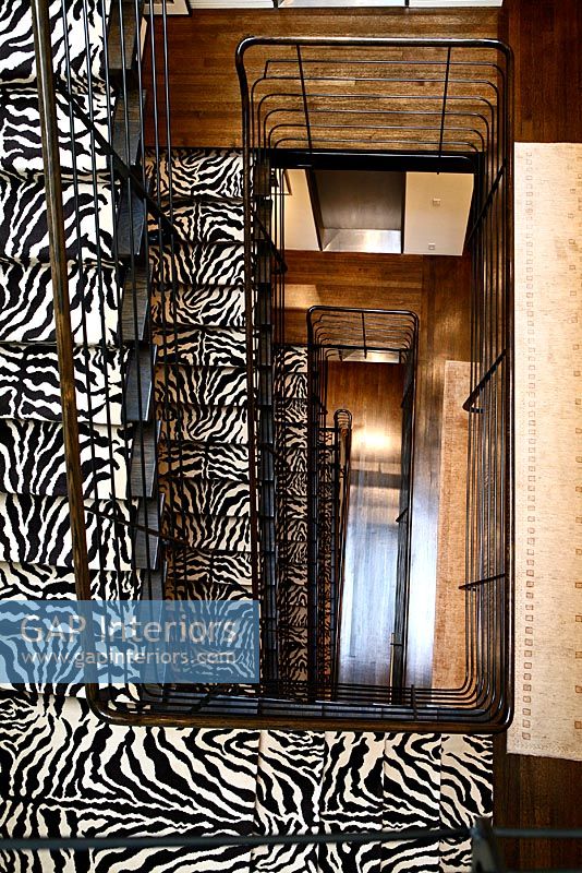 View of stairs with animal print carpet