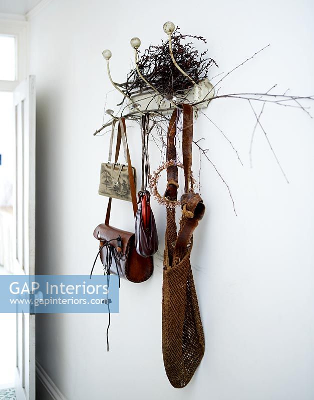 Coat hooks and accessories in modern hallway