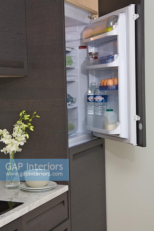 Modern kitchen fridge freezer, detail 