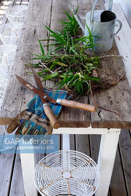 Gardening tools and gloves on country table