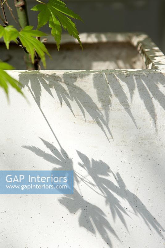 Shadow of plant in concrete planter, detail