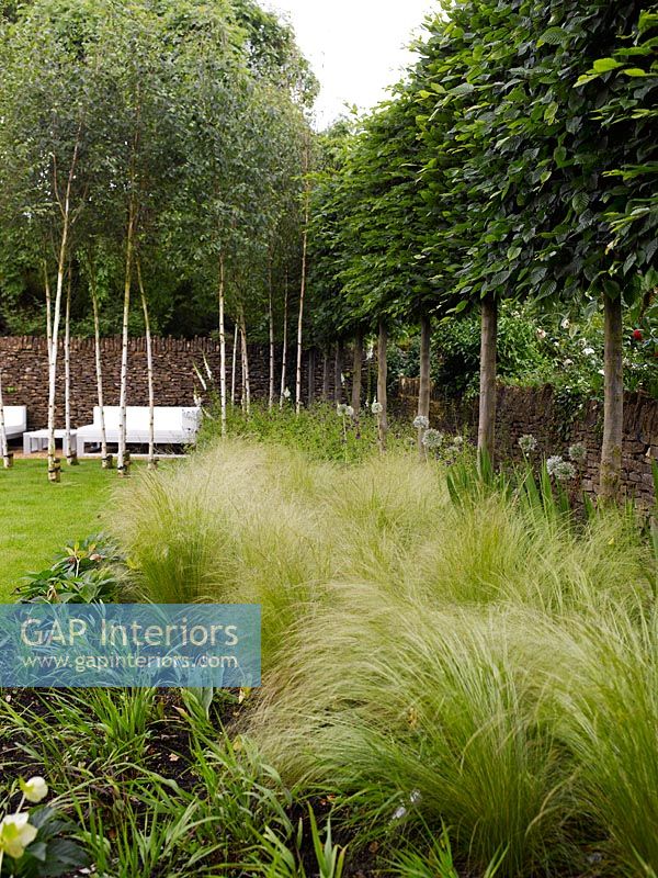 Minimal garden with grasses in border
