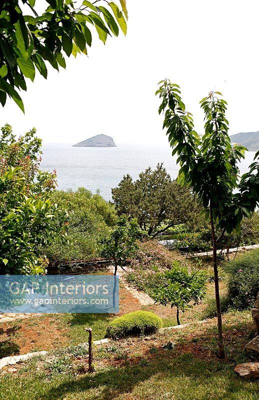 Greek terraced garden with sea view
