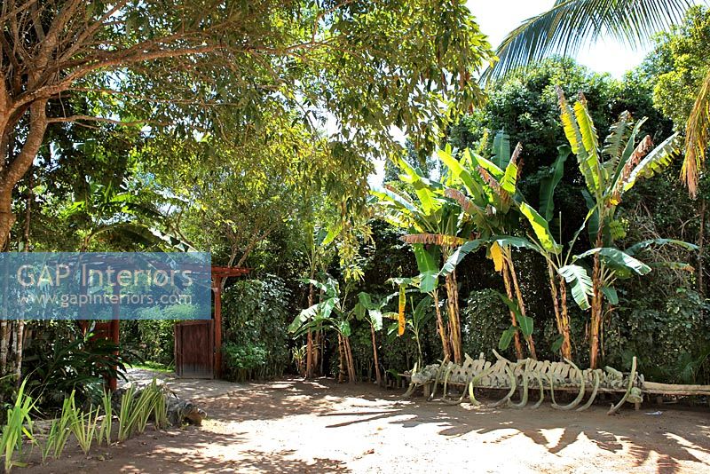 Brazilian garden entrance

