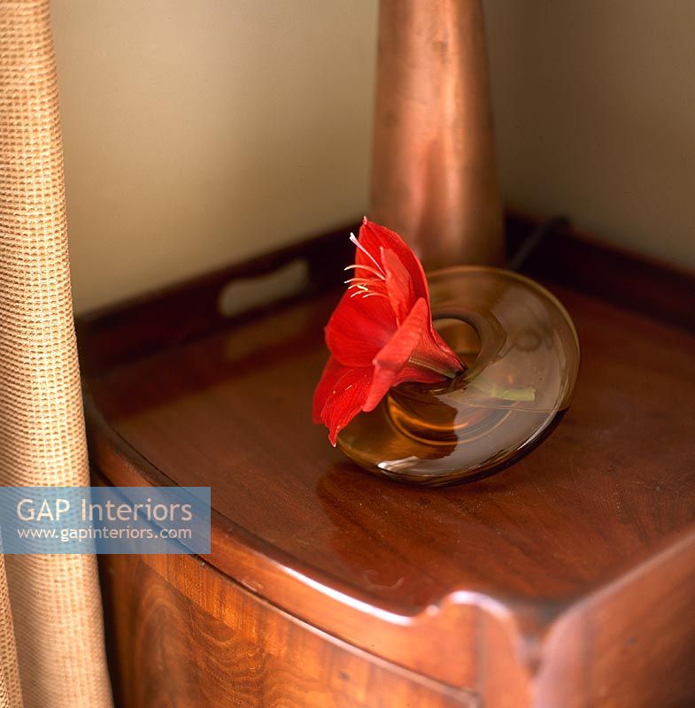 Single flower on bedside table 