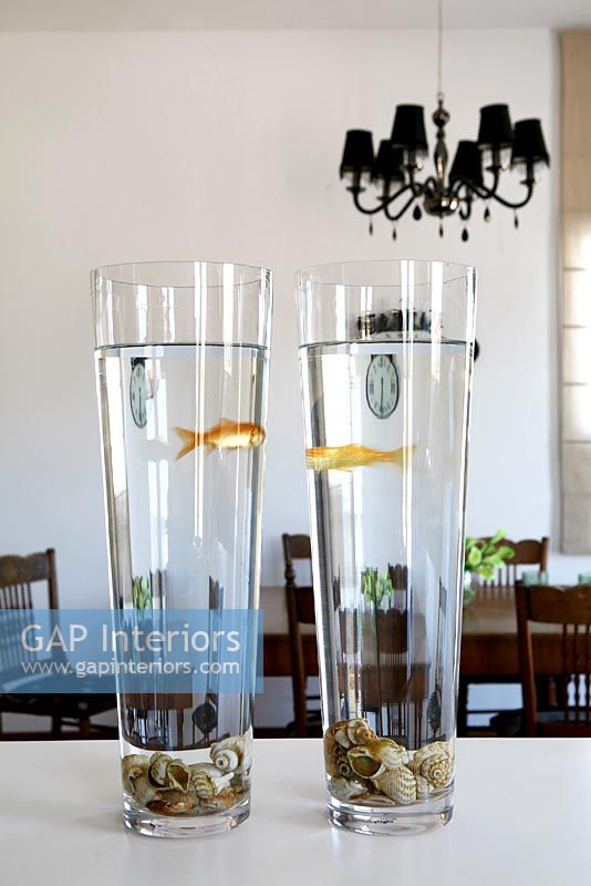 Two goldfish in long glasses 