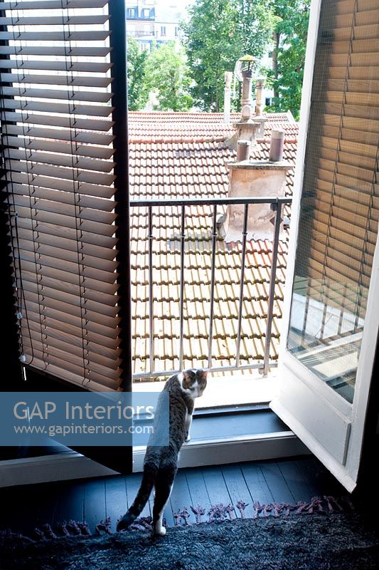 French doors with venetian blinds