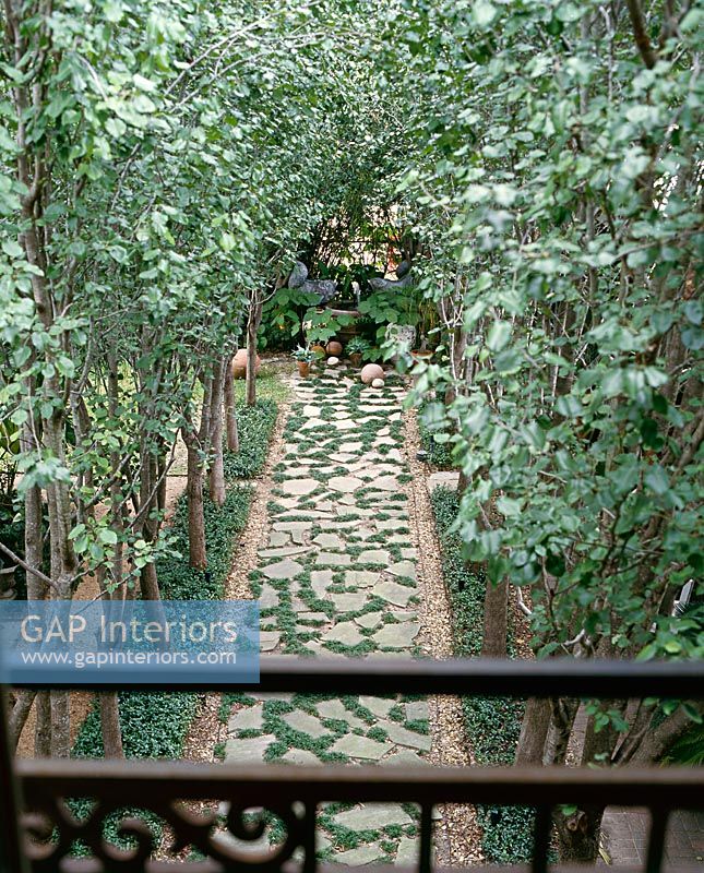 Garden with crazy paving pathway 