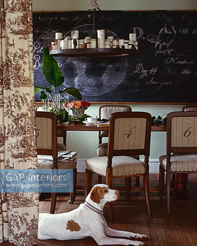 Pet dog in country dining room 