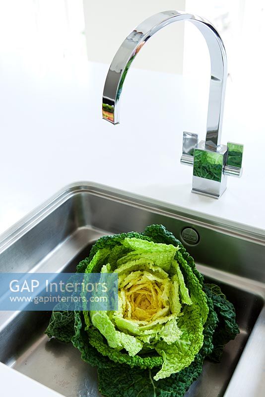 Modern kitchen sink with cabbage