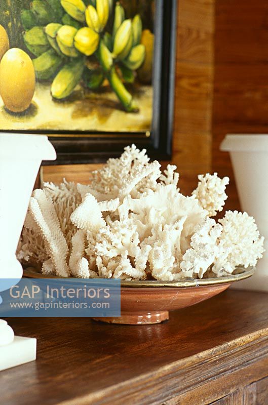 Bowl of coral