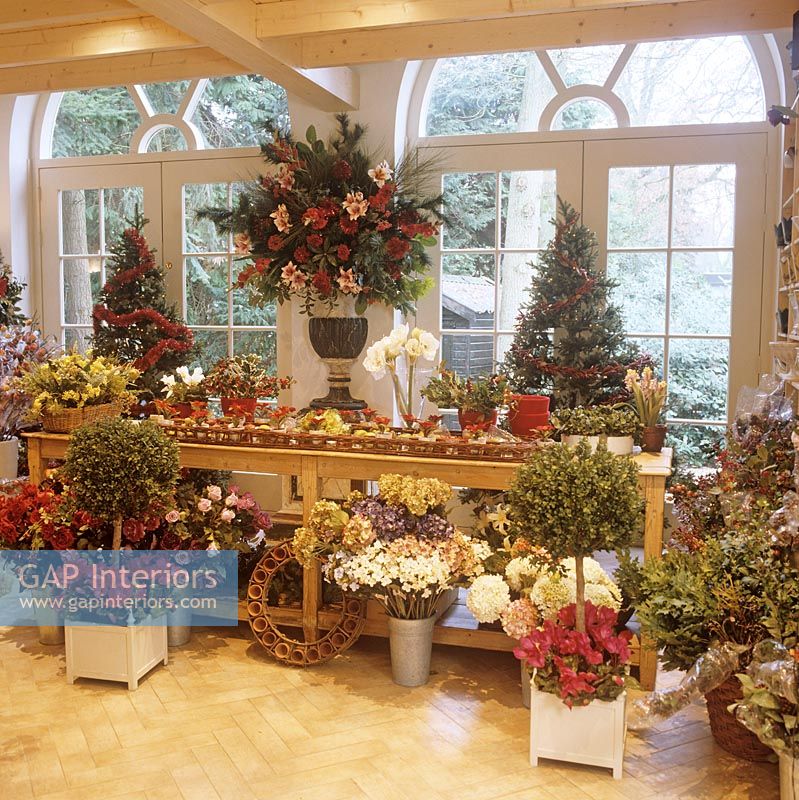 Display of plants and flowers