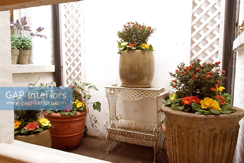 Potted plants in small courtyard garden 