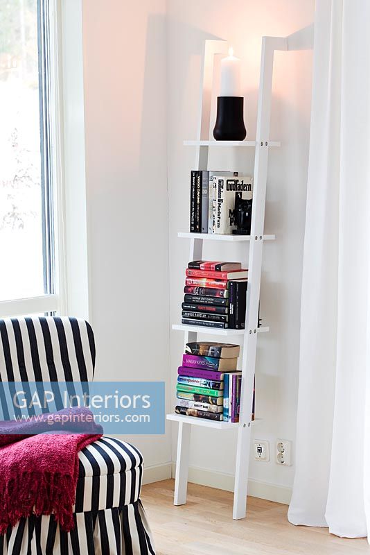 Modern shelf unit and armchair 