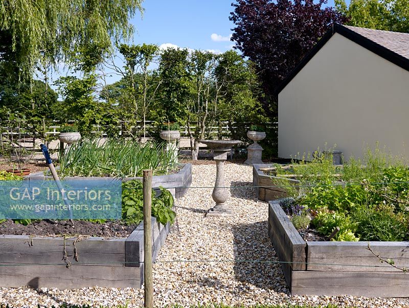 Vegetable patch in country garden 