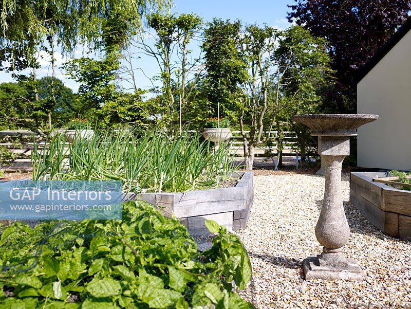 Vegetable patch in country garden 
