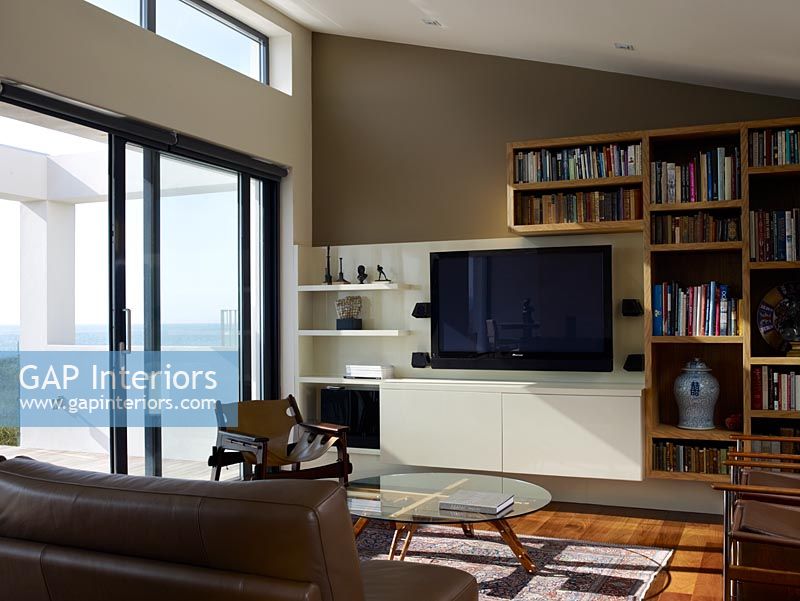 Television and bookcases in modern living room 