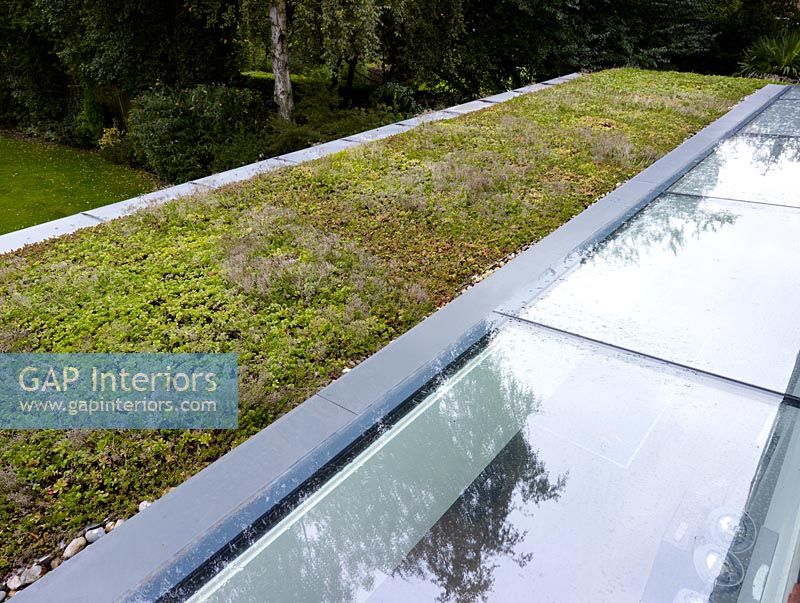 Detail of green roof and skylight windows 
