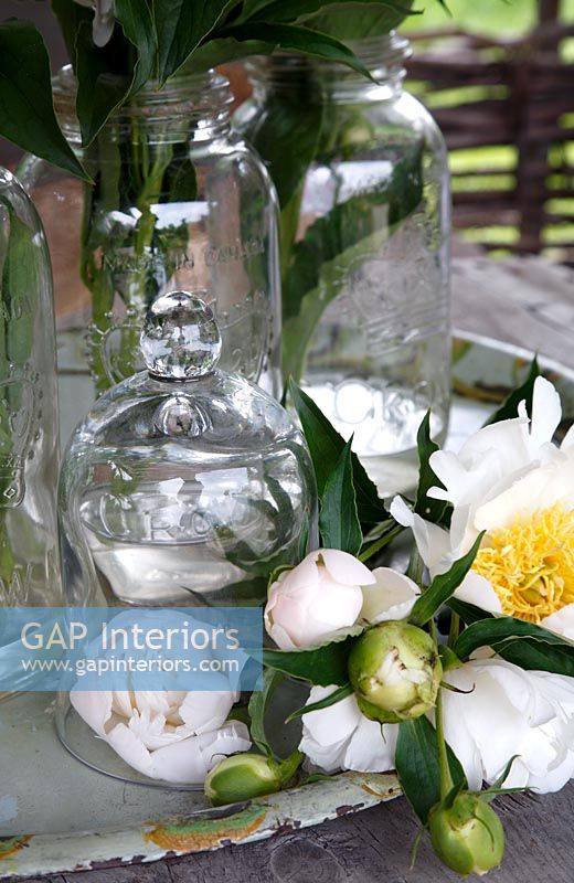 Glass cloche and flowers