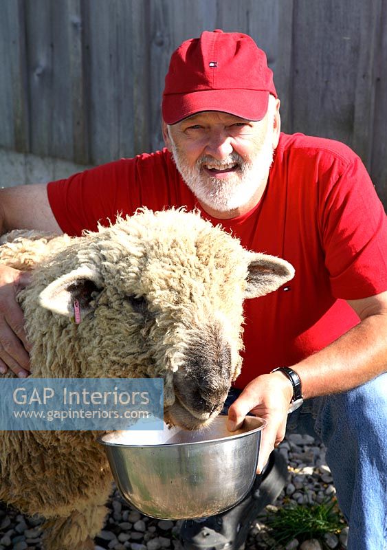 Wilson Sheep Farmhouse feature portrait 
