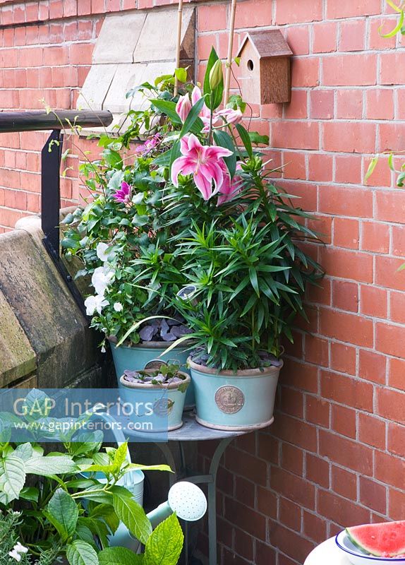 Plants in decorative containers on balcony 