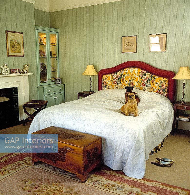 Pet dogs in classic bedroom 