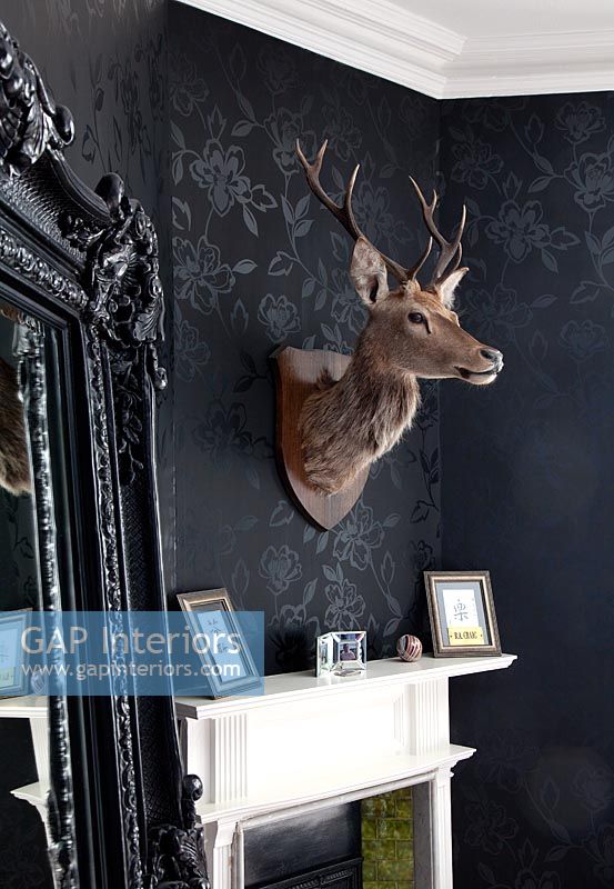 Stags head above fireplace