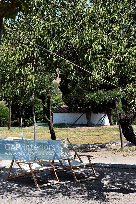 Deck chairs in the shade of a tree