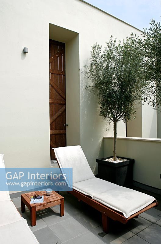 Contemporary roof terrace with Olive trees in pots