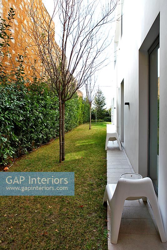 Contemporary home and narrow garden
