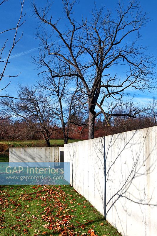 Concrete walls in woodland garden