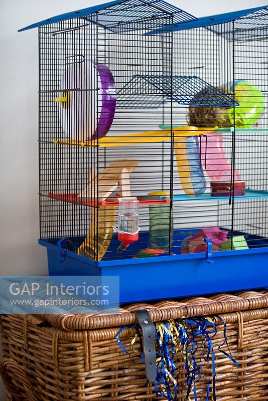 Colourful pet cage