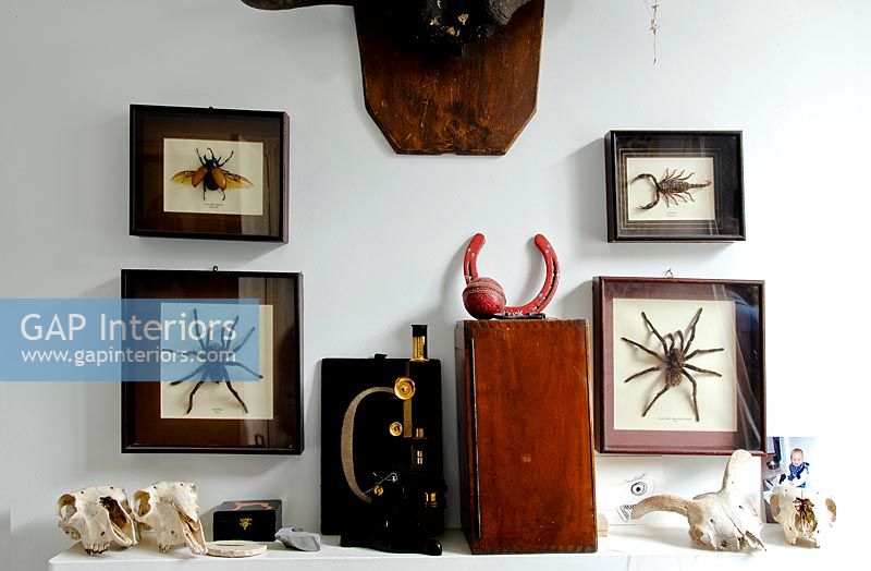 Eclectic display