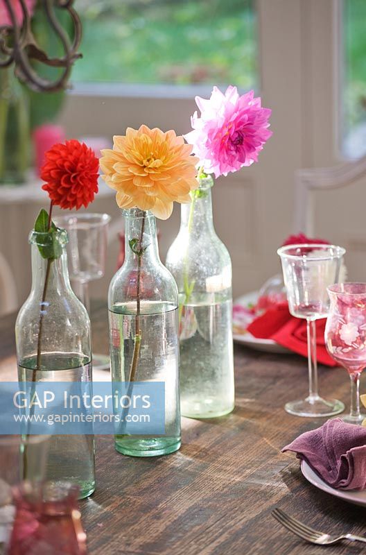 Dahlias in vintage french bottles on dining table