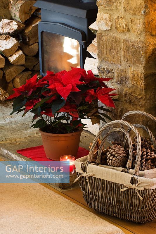 Country fireplace at Christmas with Poinsettias
