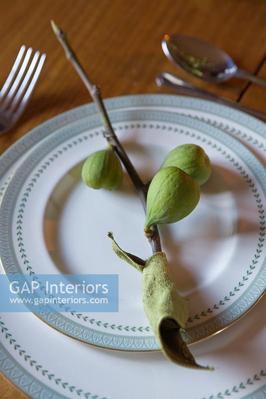 Place setting with Fig branch