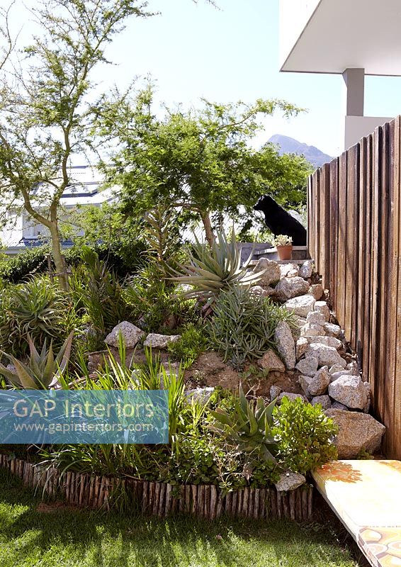 Rock garden and tropical planting