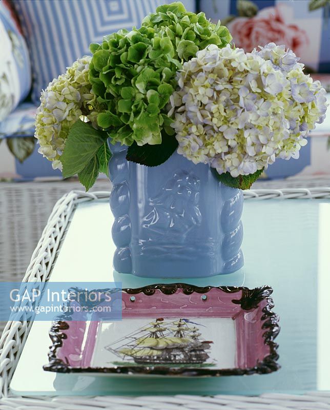 Hydrangeas in blue vase