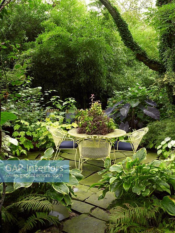 Secluded patio with Ferns and Hostas in pots