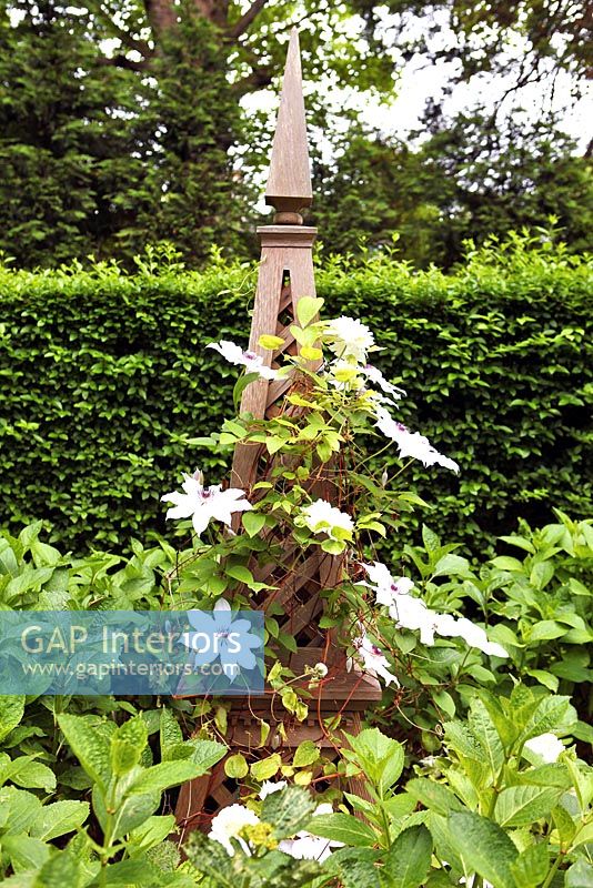 Clematis growing up decorative wooden support