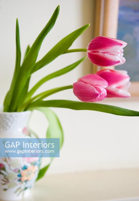 Pink Tulips in floral vase